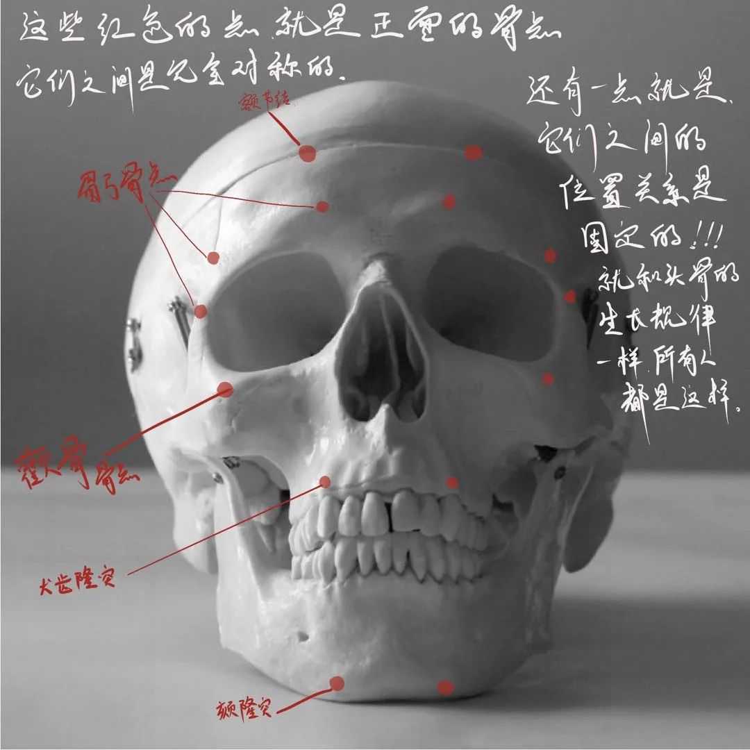 想要拿下?？妓孛桀^像高分嗎？廣州十大畫(huà)室教你技巧,10