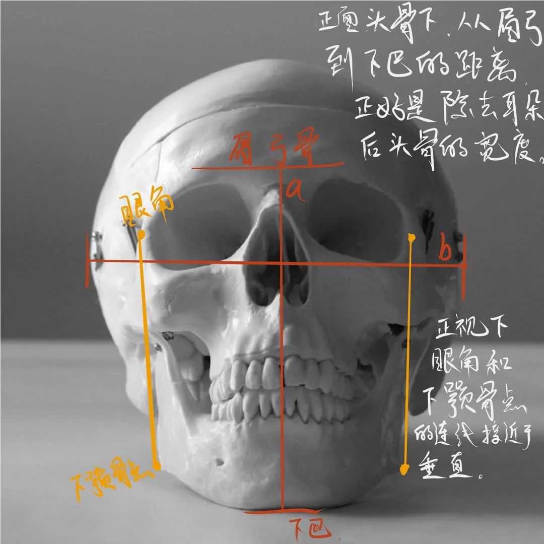 想要拿下校考素描頭像高分嗎？廣州十大畫(huà)室教你技巧,05