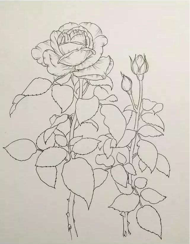 廣州美術培訓畫室,廣州美術培訓班,廣州繪畫培訓,08