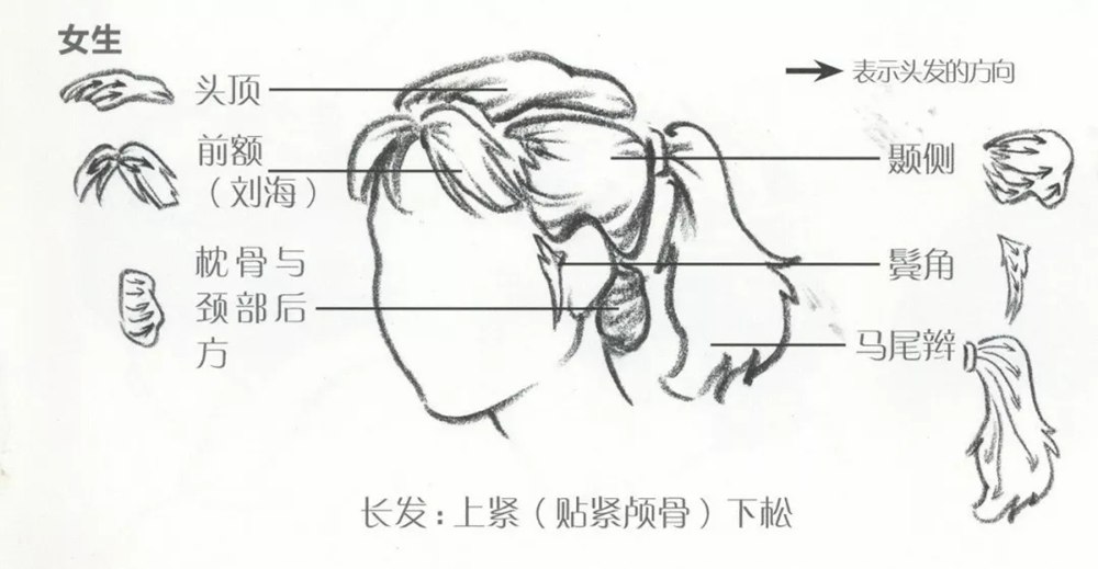 廣州畫室小圍給大家推薦速寫超強(qiáng)干貨丨頭發(fā)五大刻畫要點(diǎn),09