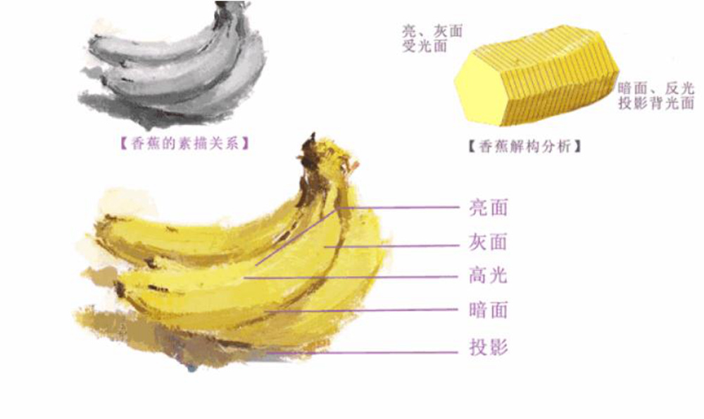 廣州藝考畫室,廣州畫室,廣州色彩美術培訓畫室,03