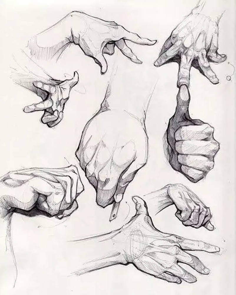 廣州畫室,廣州素描美術(shù)培訓畫室,廣州素描畫室,23