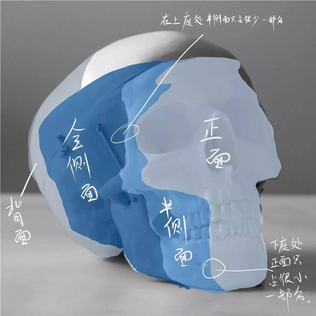 想要拿下?？妓孛桀^像高分嗎？廣州十大畫(huà)室教你技巧,03