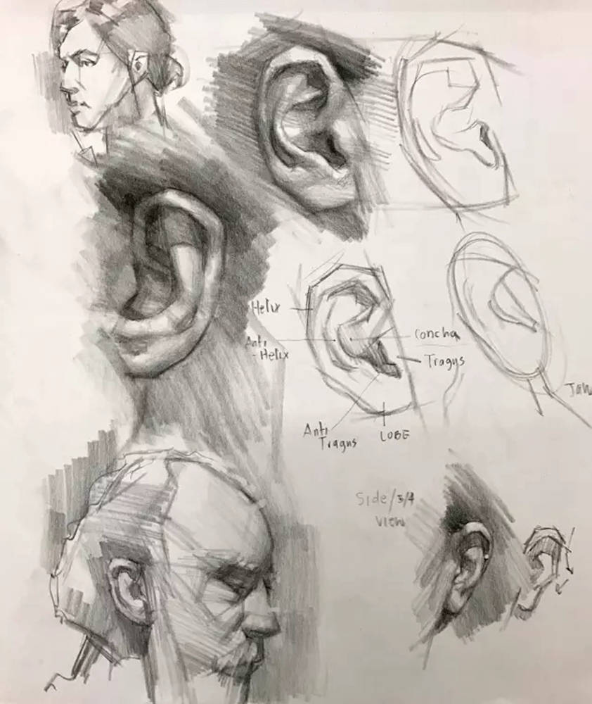 廣州畫室,廣州素描培訓,廣州素描畫室,01