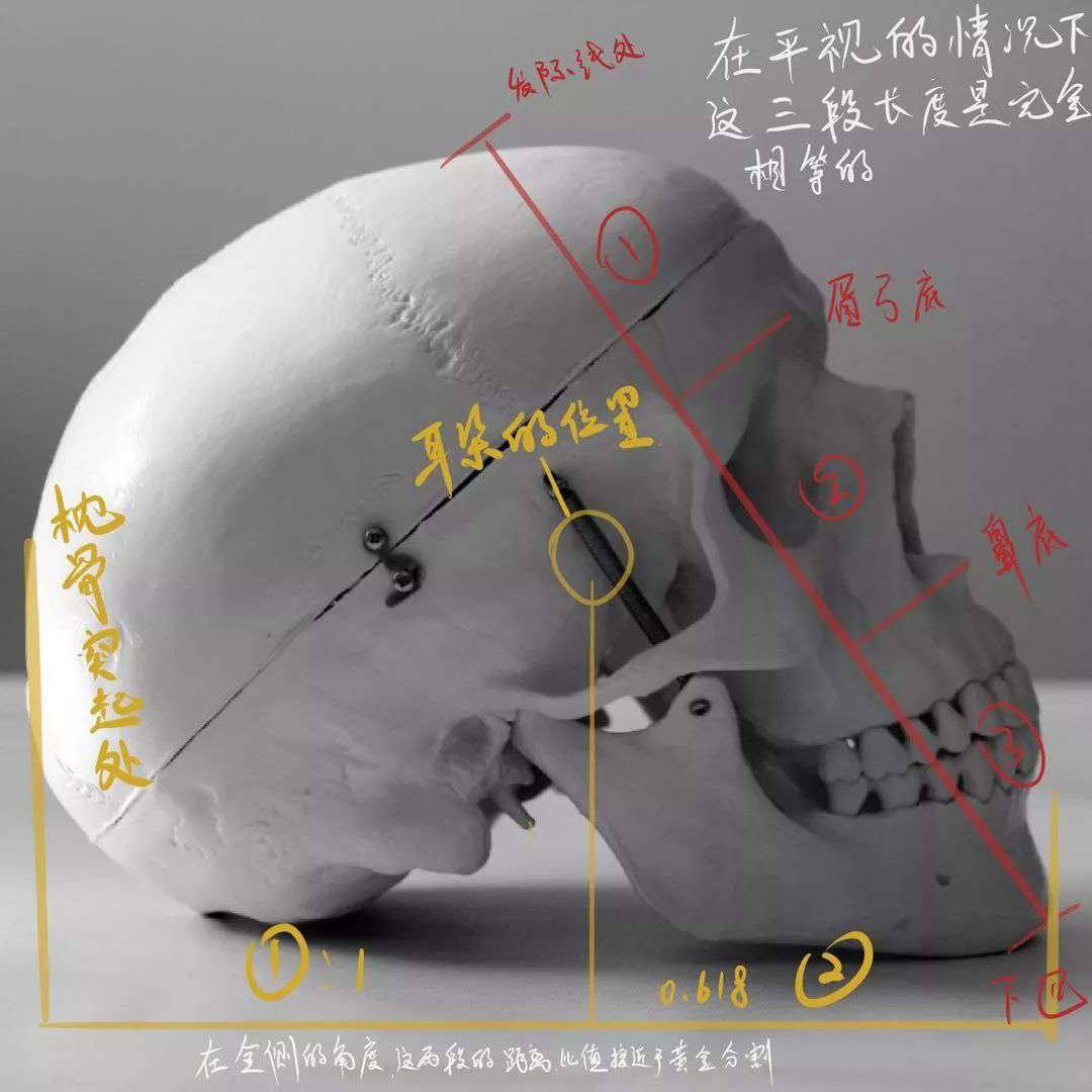 想要拿下?？妓孛桀^像高分嗎？廣州十大畫(huà)室教你技巧,06