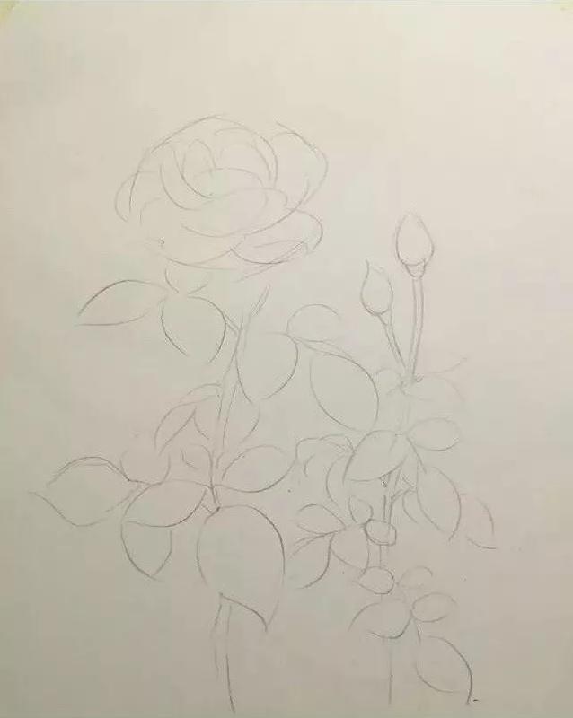 廣州美術培訓畫室,廣州美術培訓班,廣州繪畫培訓,05
