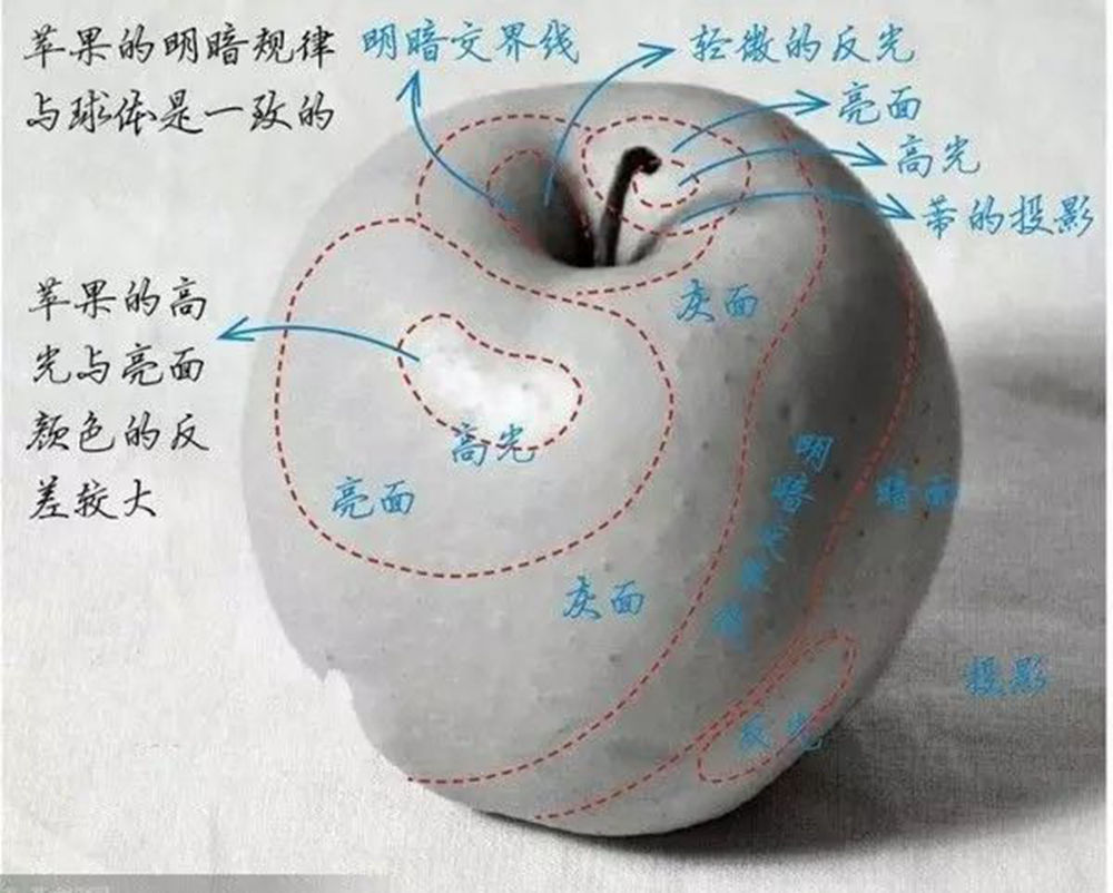 人物素描，廣州藝考畫室告訴你首先要掌握這些的東西,16
