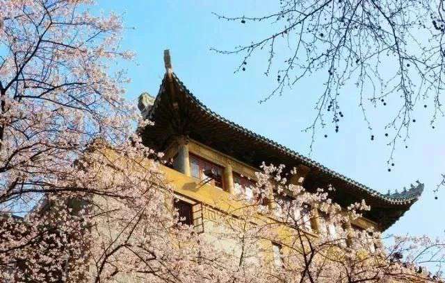 這些實力堪比美院的985院校，都開設了美術類專業(yè)！廣州圍墻畫室附圖9