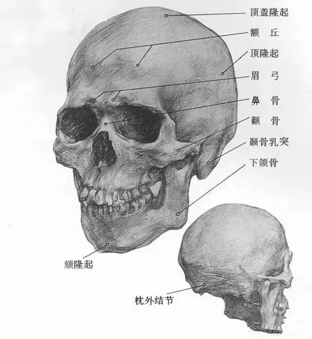  廣州畫室排名前三畫室教你如何讓你的素描頭發(fā)看起來不死板粗糙有質(zhì)感,02
