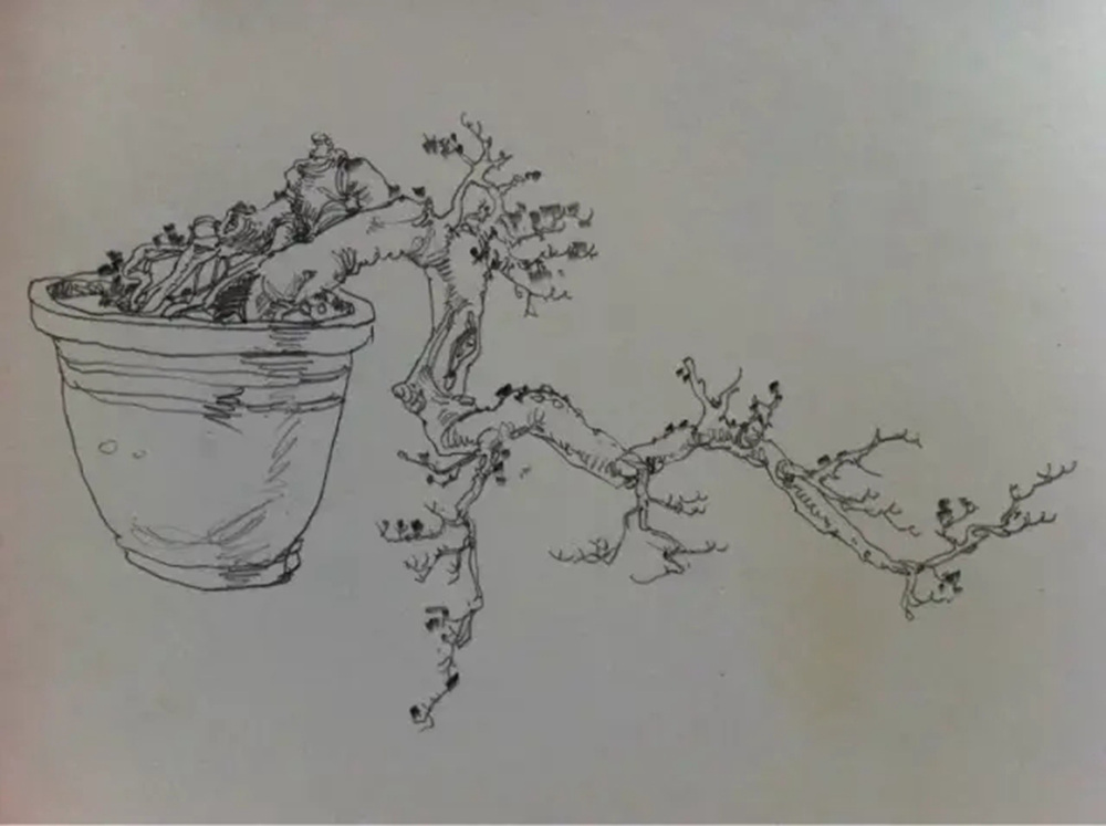 如果你正在學(xué)習(xí)線描速寫，廣州藝考畫室覺得這52幅作品正合適你,49