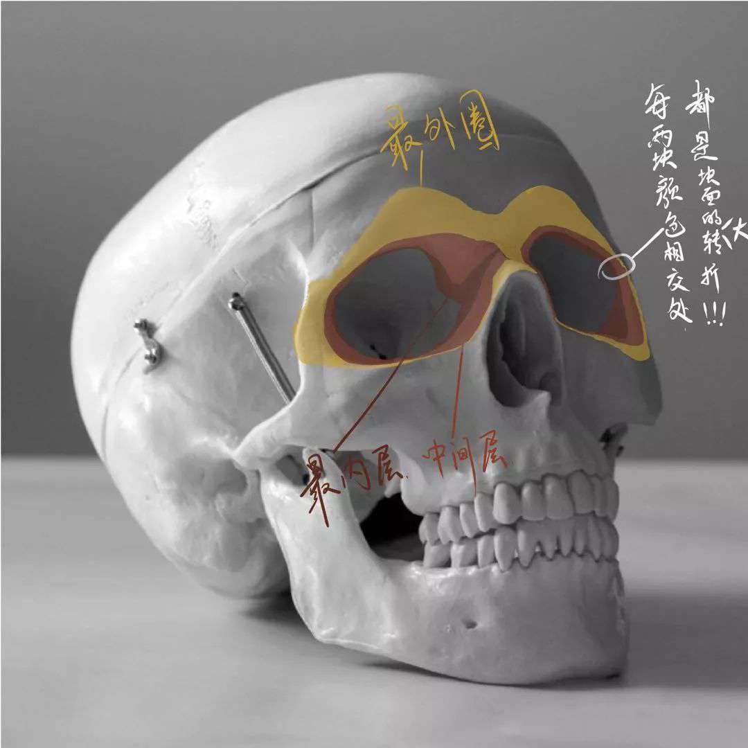 想要拿下?？妓孛桀^像高分嗎？廣州十大畫(huà)室教你技巧,04