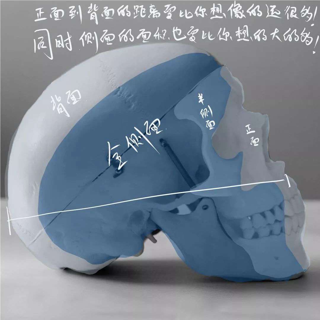 想要拿下校考素描頭像高分嗎？廣州十大畫(huà)室教你技巧,02