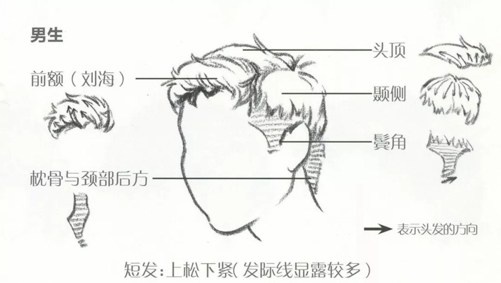 廣州畫室小圍給大家推薦速寫超強(qiáng)干貨丨頭發(fā)五大刻畫要點(diǎn),10