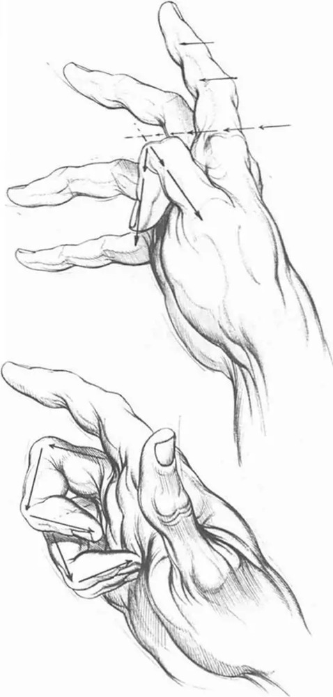 廣州畫室,廣州素描美術(shù)培訓畫室,廣州素描畫室,26