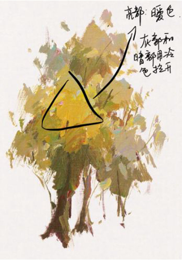 廣州畫室.廣州色彩培訓(xùn)畫室,廣州色彩畫室,34
