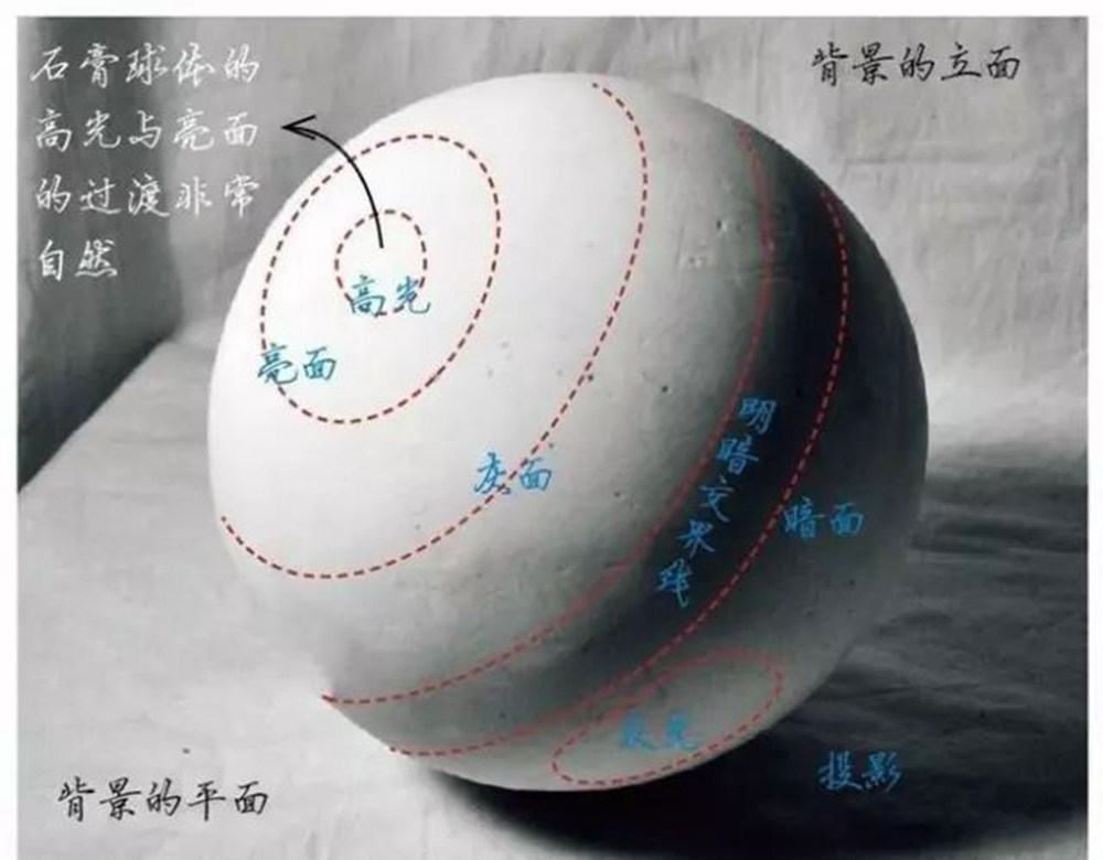 人物素描，廣州藝考畫室告訴你首先要掌握這些的東西,15