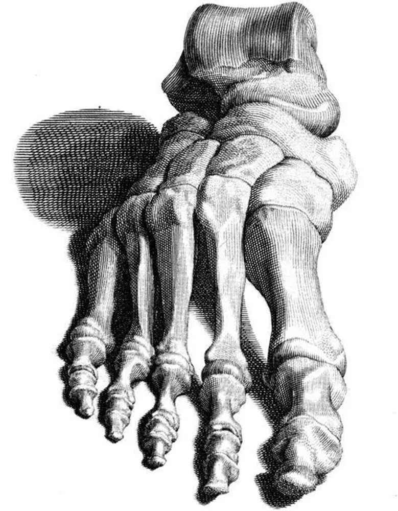 廣州畫室,廣州素描美術(shù)培訓畫室,廣州素描畫室,27