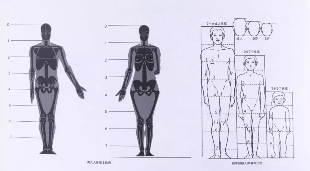 廣州畫室速寫知識,廣州速寫美術培訓,廣州速寫培訓技巧,03