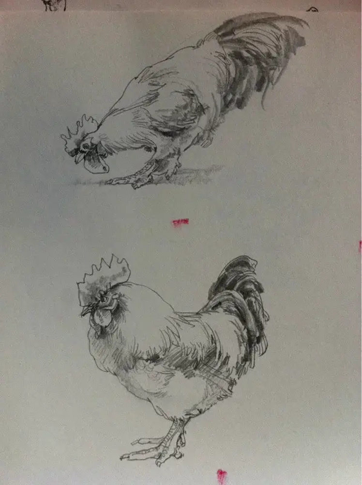 如果你正在學(xué)習(xí)線描速寫，廣州藝考畫室覺得這52幅作品正合適你,31