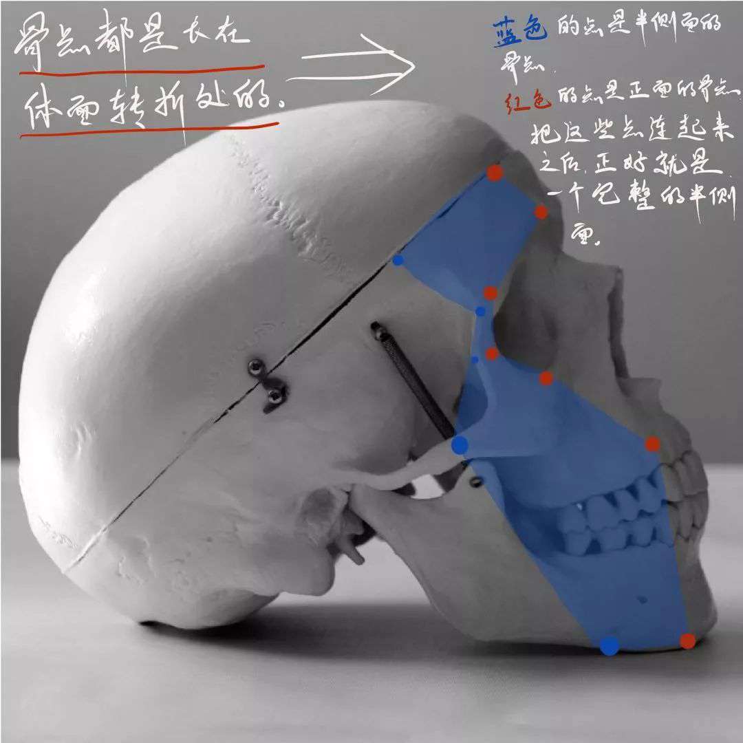 想要拿下?？妓孛桀^像高分嗎？廣州十大畫(huà)室教你技巧,14