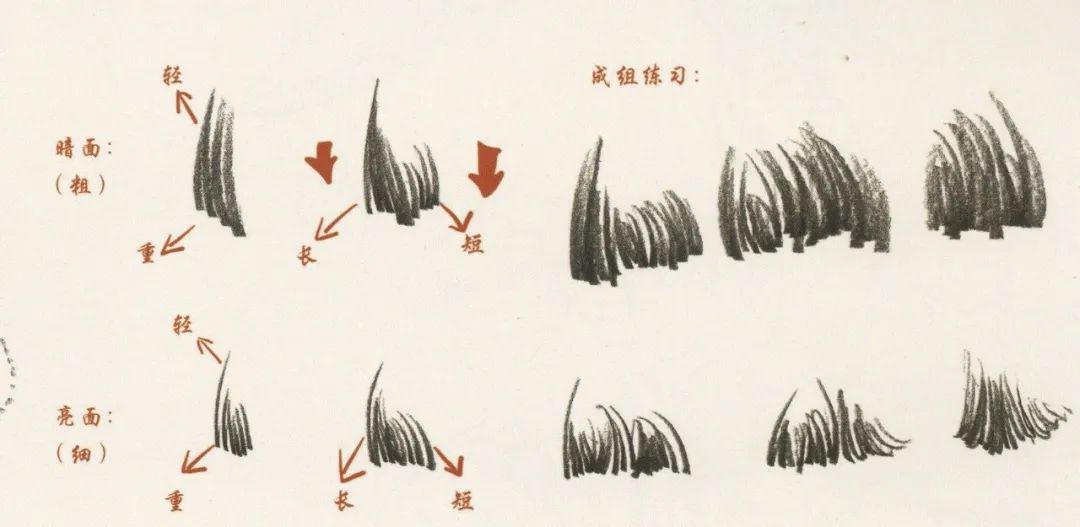 廣州畫室排名前五畫室干貨丨速寫頭發如何畫，這份步驟大概最完整,02