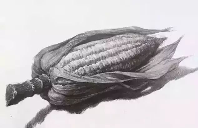 廣州美術高考班告訴你吃透這7類素描靜物質感，聯考不用怕了,11