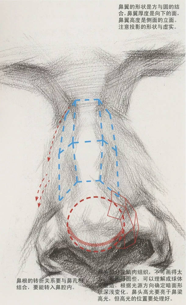 廣州藝考畫室,廣州素描畫室,廣州畫室素描培訓,34