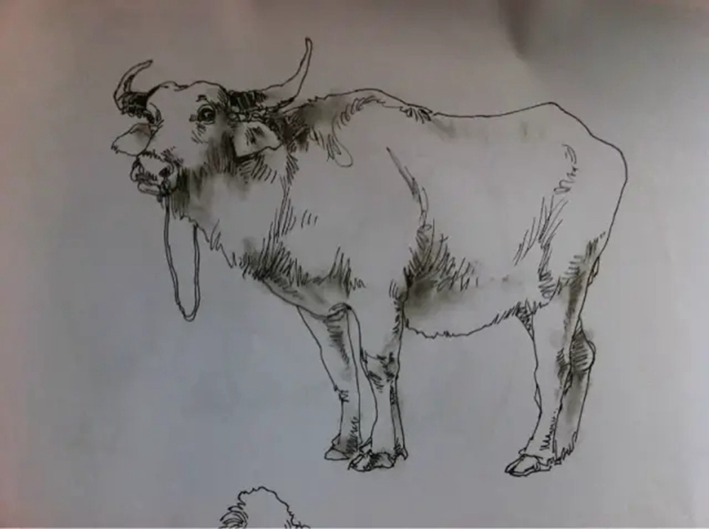 如果你正在學(xué)習(xí)線描速寫，廣州藝考畫室覺得這52幅作品正合適你,40