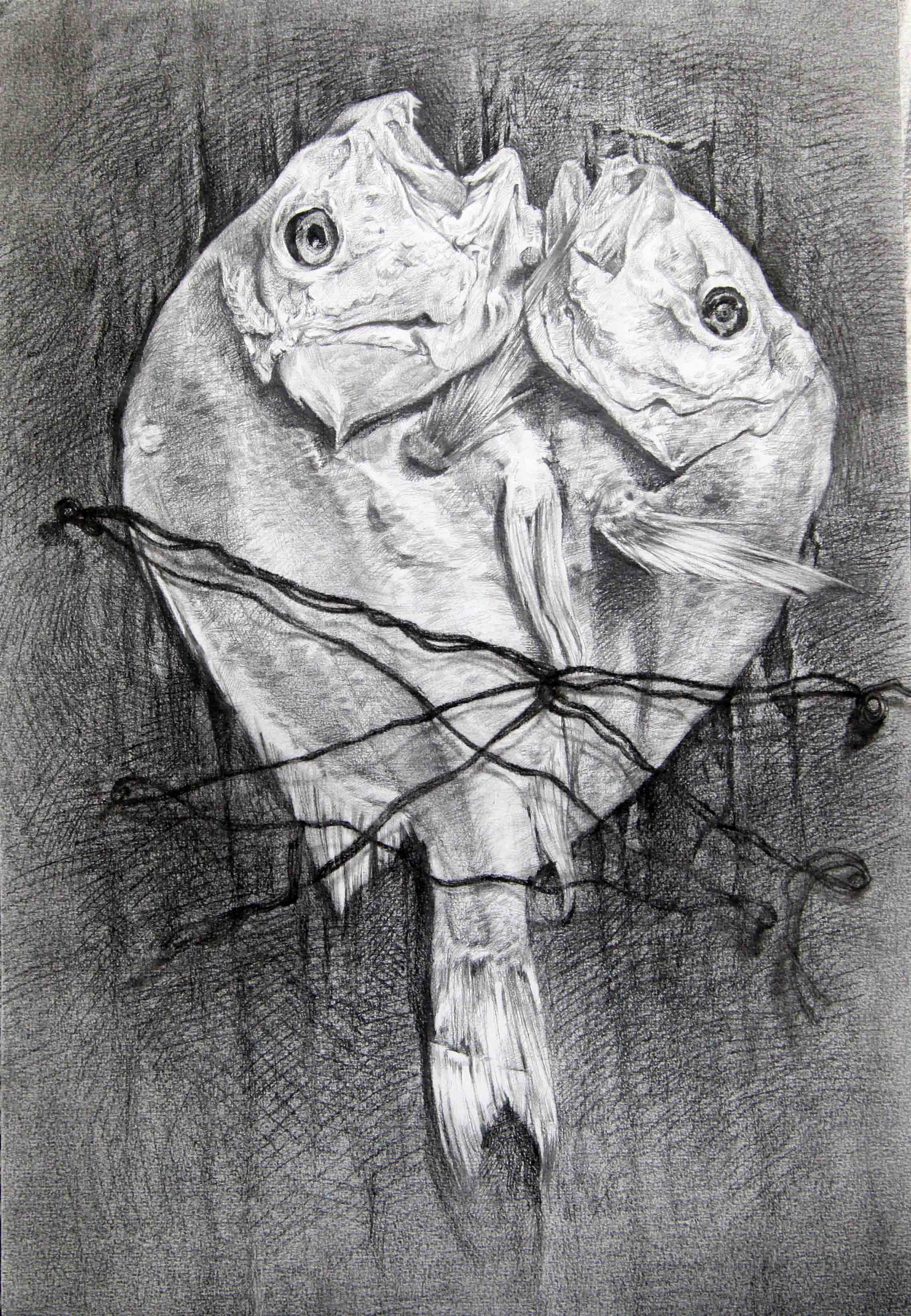 廣州畫室素描培訓,廣州素描集訓畫室,廣州素描美術培訓班