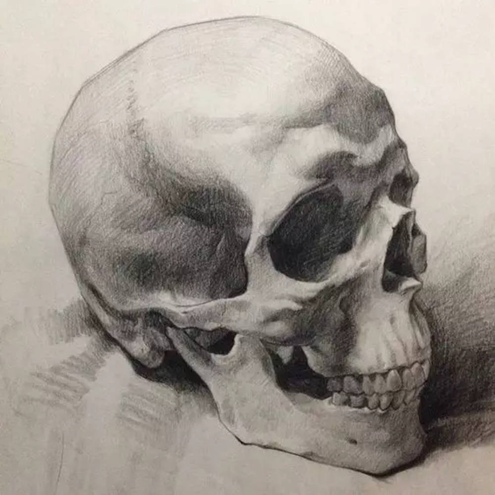 廣州畫室,廣州素描美術(shù)培訓畫室,廣州素描畫室,14
