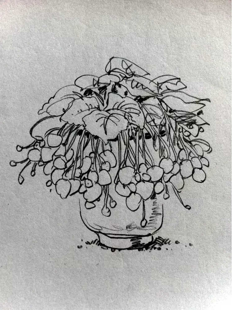 如果你正在學(xué)習(xí)線描速寫，廣州藝考畫室覺得這52幅作品正合適你,48