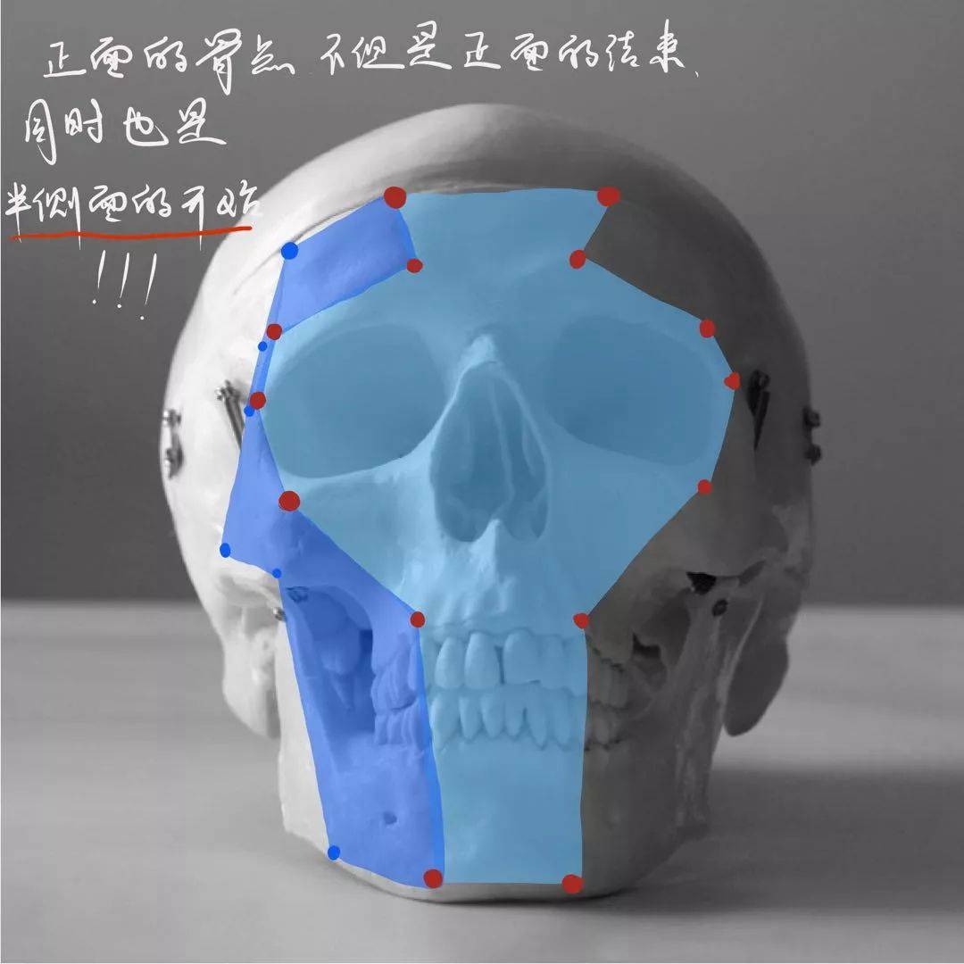 想要拿下?？妓孛桀^像高分嗎？廣州十大畫(huà)室教你技巧,17