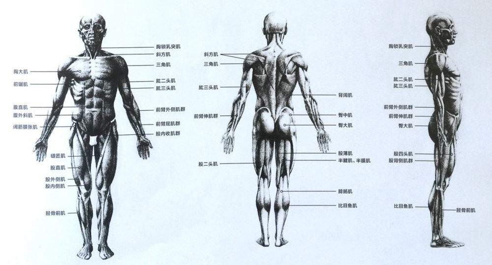 廣州畫室速寫知識,廣州速寫美術培訓,廣州速寫培訓技巧,05