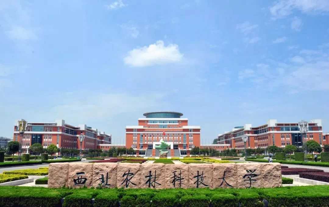 這些實力堪比美院的985院校，都開設了美術類專業(yè)！廣州圍墻畫室附圖20