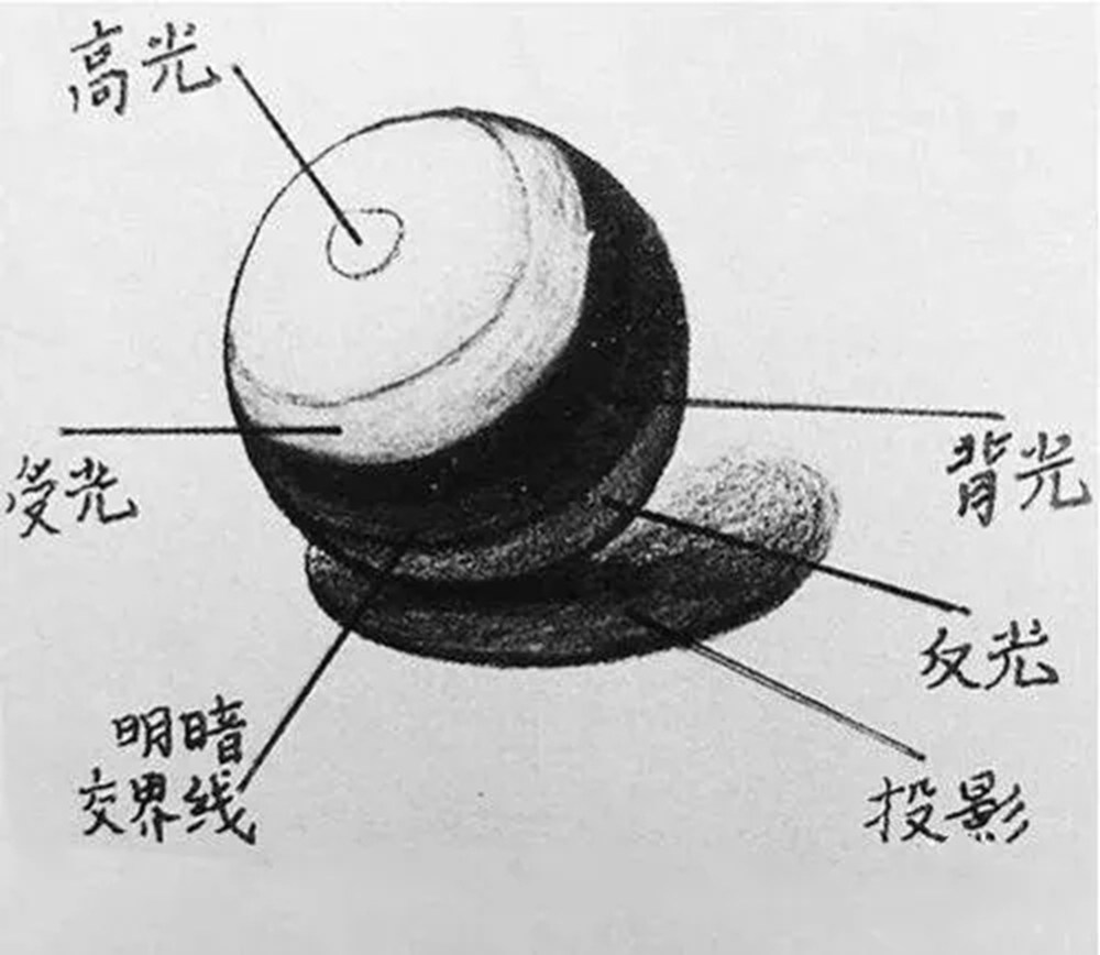 廣州畫室排名前三畫室教你素描初學入門怎樣畫明暗交界線,02