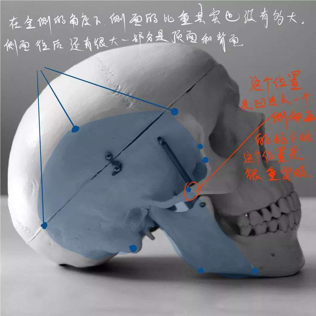 想要拿下?？妓孛桀^像高分嗎？廣州十大畫(huà)室教你技巧,20