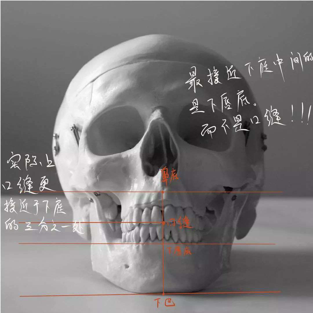 想要拿下?？妓孛桀^像高分嗎？廣州十大畫(huà)室教你技巧,09