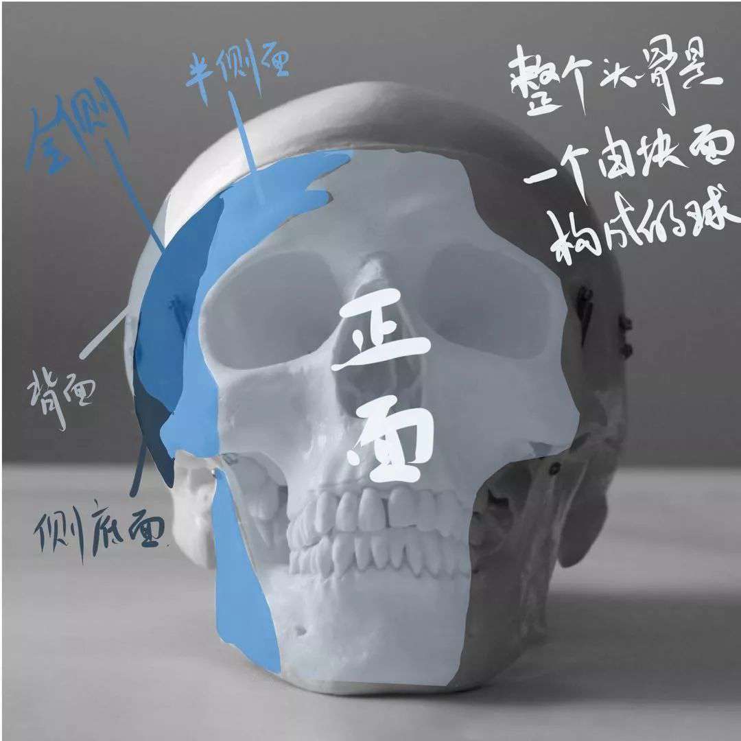 想要拿下?？妓孛桀^像高分嗎？廣州十大畫(huà)室教你技巧,01