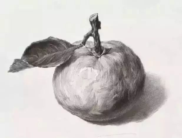 廣州美術高考班告訴你吃透這7類素描靜物質感，聯考不用怕了,01