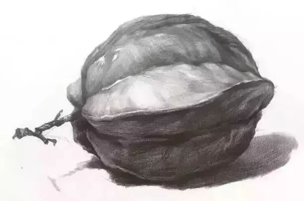 廣州美術高考班告訴你吃透這7類素描靜物質感，聯考不用怕了,08