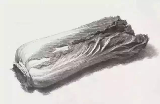 廣州美術高考班告訴你吃透這7類素描靜物質感，聯考不用怕了,10