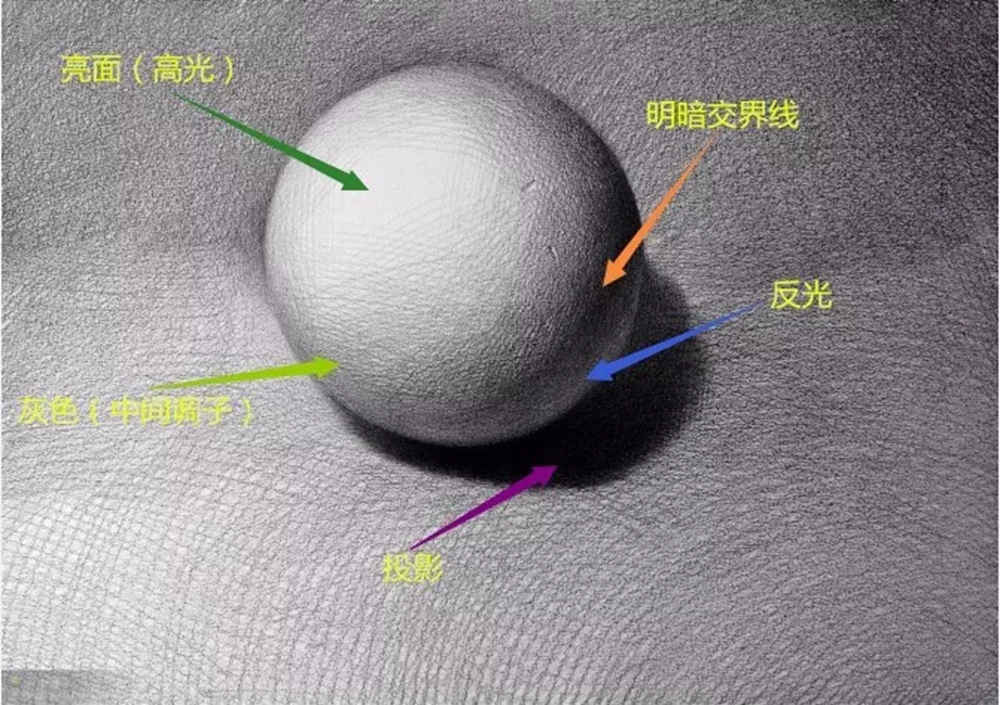 素描總被懟：廣州藝考畫室覺(jué)得那是因?yàn)槟悴粫?huì)“擦”,05