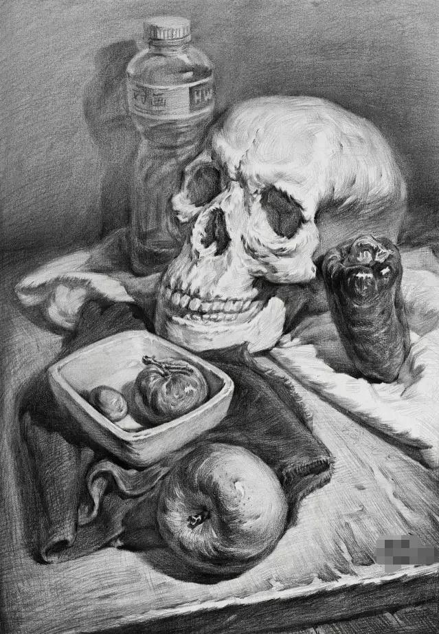 想要你的素描牛，廣州美術高考班建議從這五點開始,05