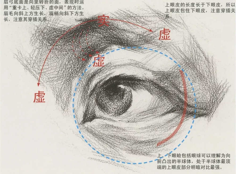 廣州藝考畫室,廣州素描畫室,廣州畫室素描培訓,15