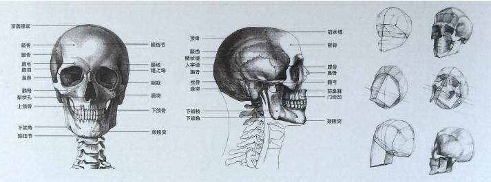 廣州畫室速寫知識,廣州速寫美術培訓,廣州速寫培訓技巧,06